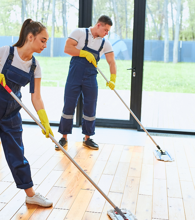 Profesyonel temizlik